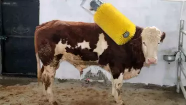 IPARD III destekli tarım sahası