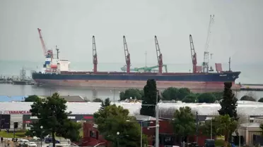 Meyve ihracatı görseli