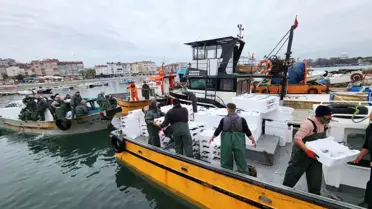 Tekirdağ Açıklarında Torik Avcılığıyla Balıkçılar Zenginleşti