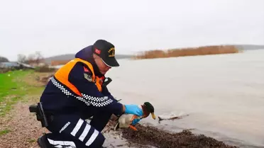 Bursa’da Kaçak Avcılara 432 Bin Lira Ceza Kesildi