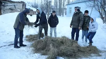 Muradiye'de Köse-Gelin Festivali: Dayanışma ve Neşenin Yeniden Canlanması