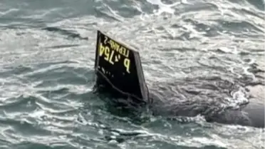 Arnavutköy Açıklarında Şüpheli Cisim: İHA mı, Balıkçılar Alarm Verdi