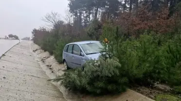 Ayvacık'ta Araç Ağaca Çarptı: 2 Yaralı