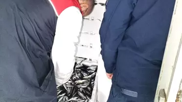 Kırklareli’de Balık Denetimi: 110 Koli İstavritte Ceza ve Sosyal Fayda