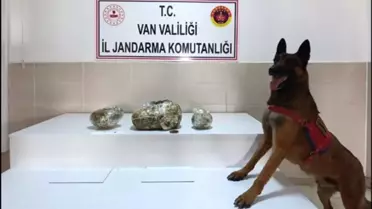Van'da Şok Operasyon: 224 Kilogram Uyuşturucu ve Binlerce Hap Ele Geçirildi