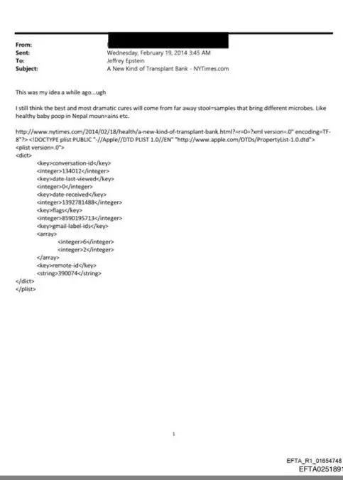 E-posta içeriği örnek görüntüsü