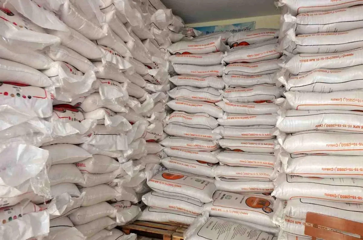 Burhaniye'de Yağışlar Zeytin Üreticilerini Canlandırdı: Gübre Satışları ve Budama Çalışmaları Hız Kazandı