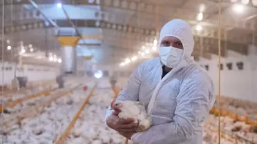 Lezita piliç tesisi inşaatı