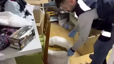 Ele geçirilen kaçak tütün ürünleri