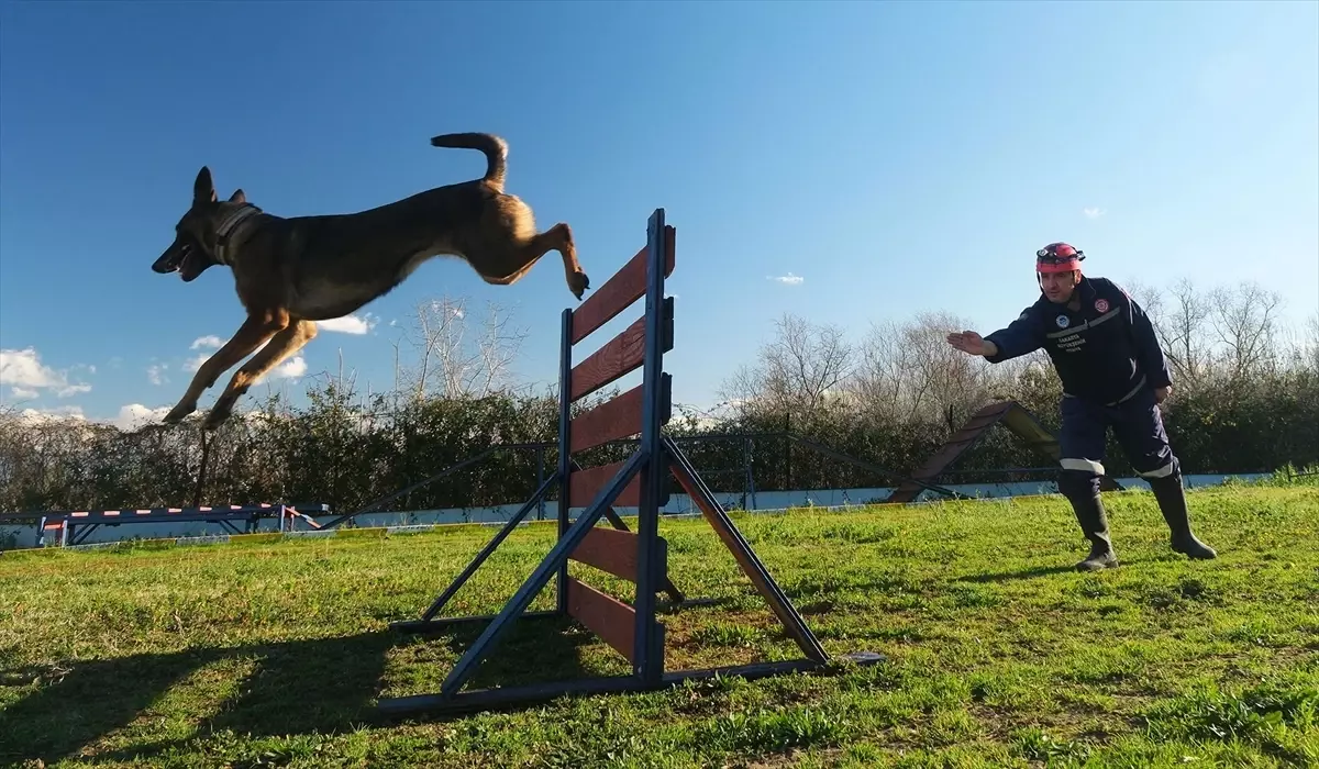 Sakarya'nın K9 Köpekleri Afet Arama Kurtarmada Hazır