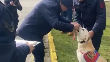 Jandarma İz Takip Köpeği Medyum'un 10 Yıllık Görevinden Emekliliği