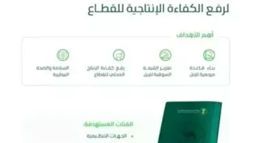 Suudi Arabistan’da Develere Resmi Pasaport Veriliyor: Hayvancılıkta Dijital Dönüşüm