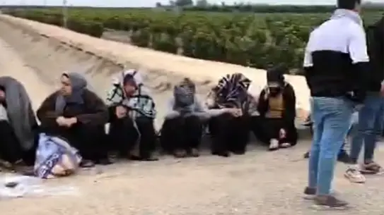 Adana’da Midibüs ile Traktör Çarpıştı: 7 Tarım İşçisi Yaralandı