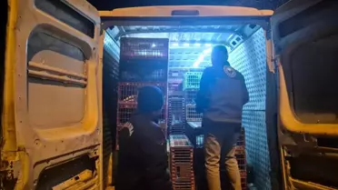 Bozüyük’te Belgesiz Hayvan Sevki İçin 52.720 TL Para Cezası Kesildi