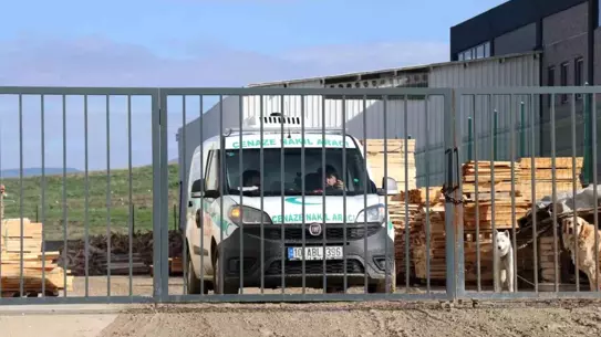 Denizli'de Kereste Fabrikasında Korkunç İş Kazası: Çalışan Hayatını Kaybetti