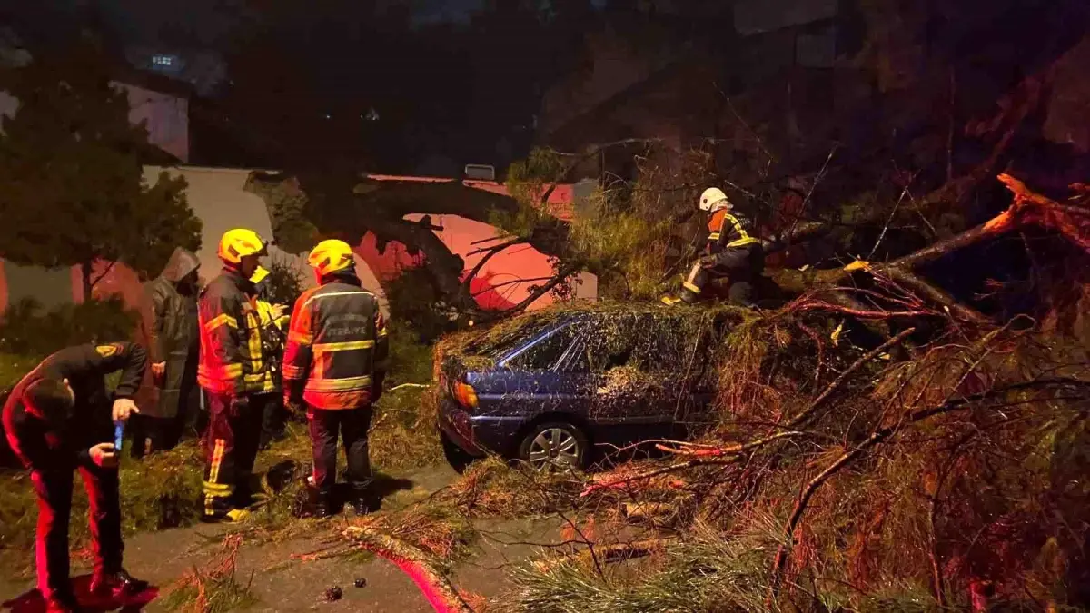 Aydın Efeler'de Şiddetli Rüzgâr Ağacı Camii Duvarından Aşağı Çekti, 2 Kişi Yaralandı