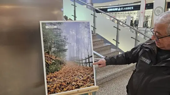Kastamonu’da Dünya Sulak Alanlar Günü’ne Renkli Katılım: Fotoğraf Sergisi ve Stantlar Yoğun İlgi Görüyor