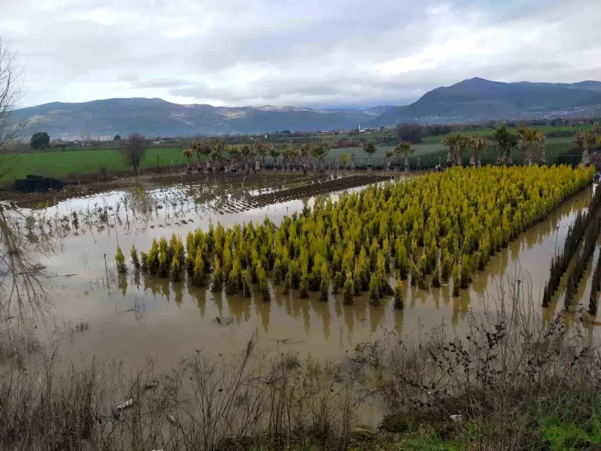 İzmir'de Şiddetli Sağanak Tarım ve Hayvancılığı Tehdit Altına Aldı