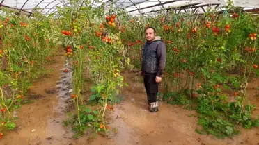 Kumluca’da Hortum Seraları Yıktı: Tarım Sektöründe Büyük Zarar