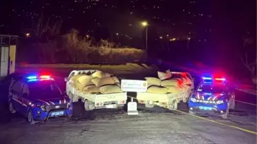 Düzce’de Fındık Alımında Dolandırıcılık Şebekesi Çökertildi, 3 Şüpheli Tutuklandı