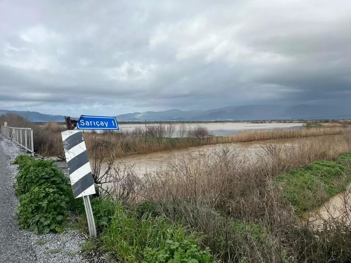Büyük Menderes Nehri Yine Taştı: Söke Ovası'nda Tarım Alanları Su Altında