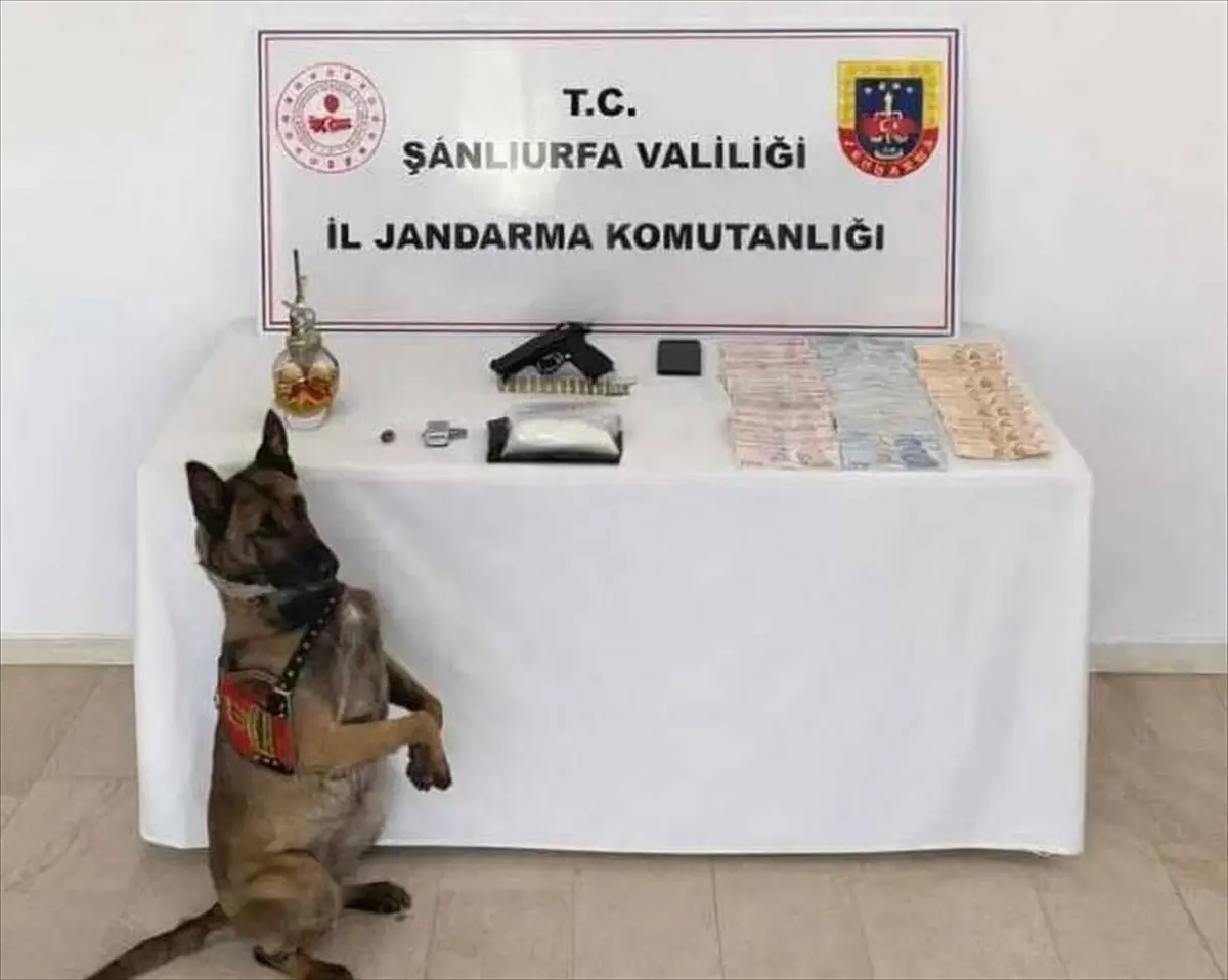 Şanlıurfa Eyyübiye'de Büyük Uyuşturucu ve Silah Operasyonu: 1 Şüpheli Gözaltında