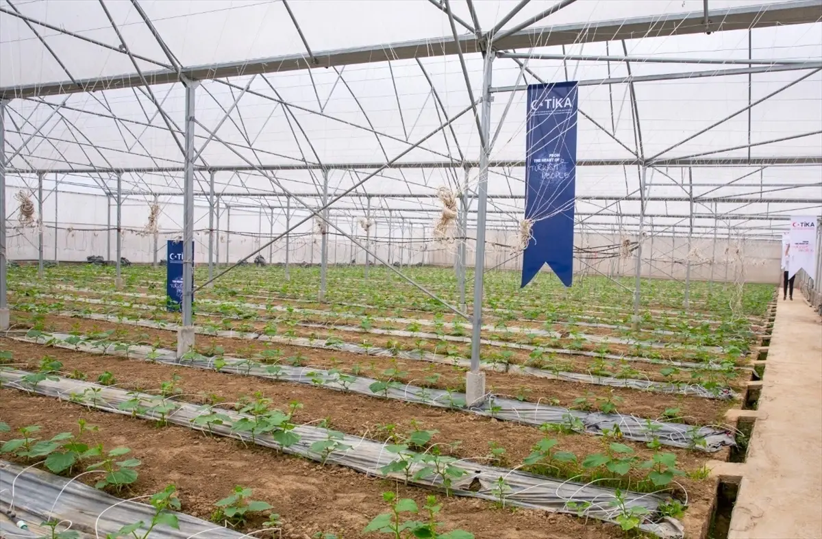 TİKA, Vietnam'daki Tayfun Mağduru Çiftçilere Yeni Seralarla Destek Veriyor