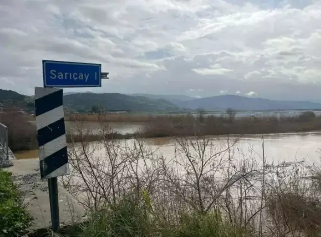 Söke Ovası'nda su altında kalan buğday tarlaları