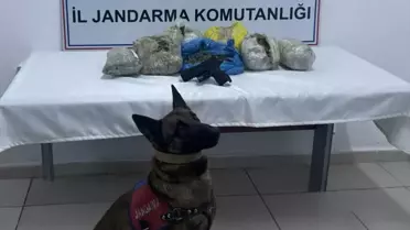 Ele geçirilen esrar ve silah