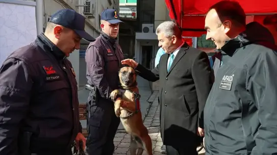 Deprem bilinci görseli