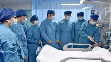 Genetiği Değiştirilmiş Domuz Karaciğeri, Çin’de Akut Karaciğer Yetmezliğine Çözüm Oldu