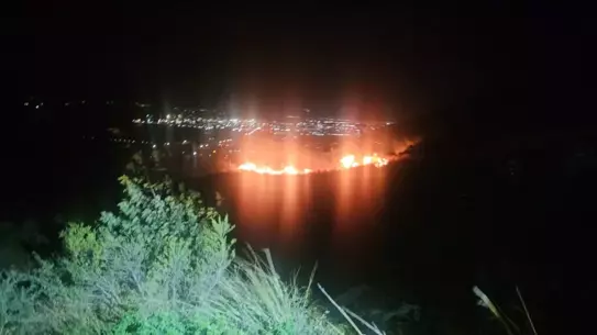 İskenderun’da Zeytin Bahçesindeki Yangın Hızlı Müdahale ile Söndürüldü