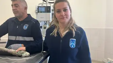 Kritik Durumdaki Sahiplendirilen Köpek Acil Tedavi Altında