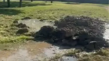 Yalova’da Terör Operasyonu: 198 Şüpheli Gözaltında, 66 Tutuklandı