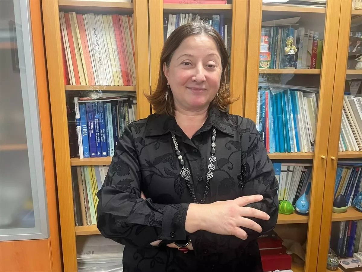 2025 Palamut Stokları Düşüşte: Uzmanlar Ekosistemdeki Riskleri Uyardı