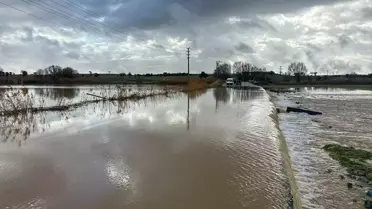 Sel Sonrası Tarım Alanları