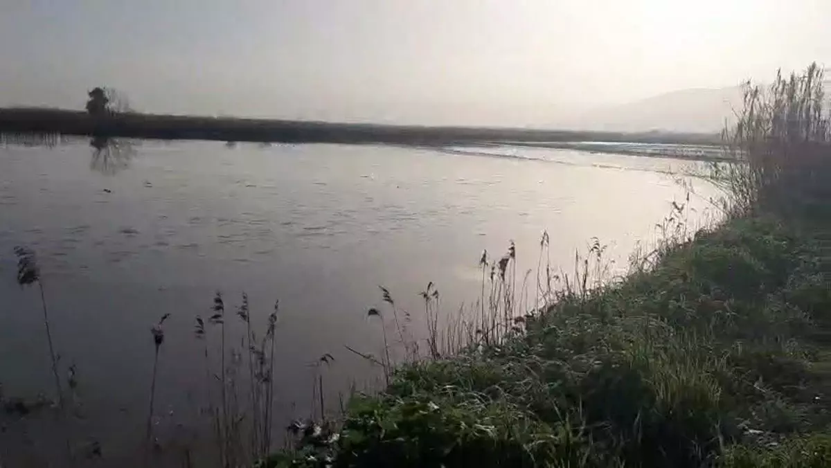 Aydın’da Şiddetli Yağışlar Menderes Nehri’ni Taşır, Köşk’te Tarım Alanları Sular Altında