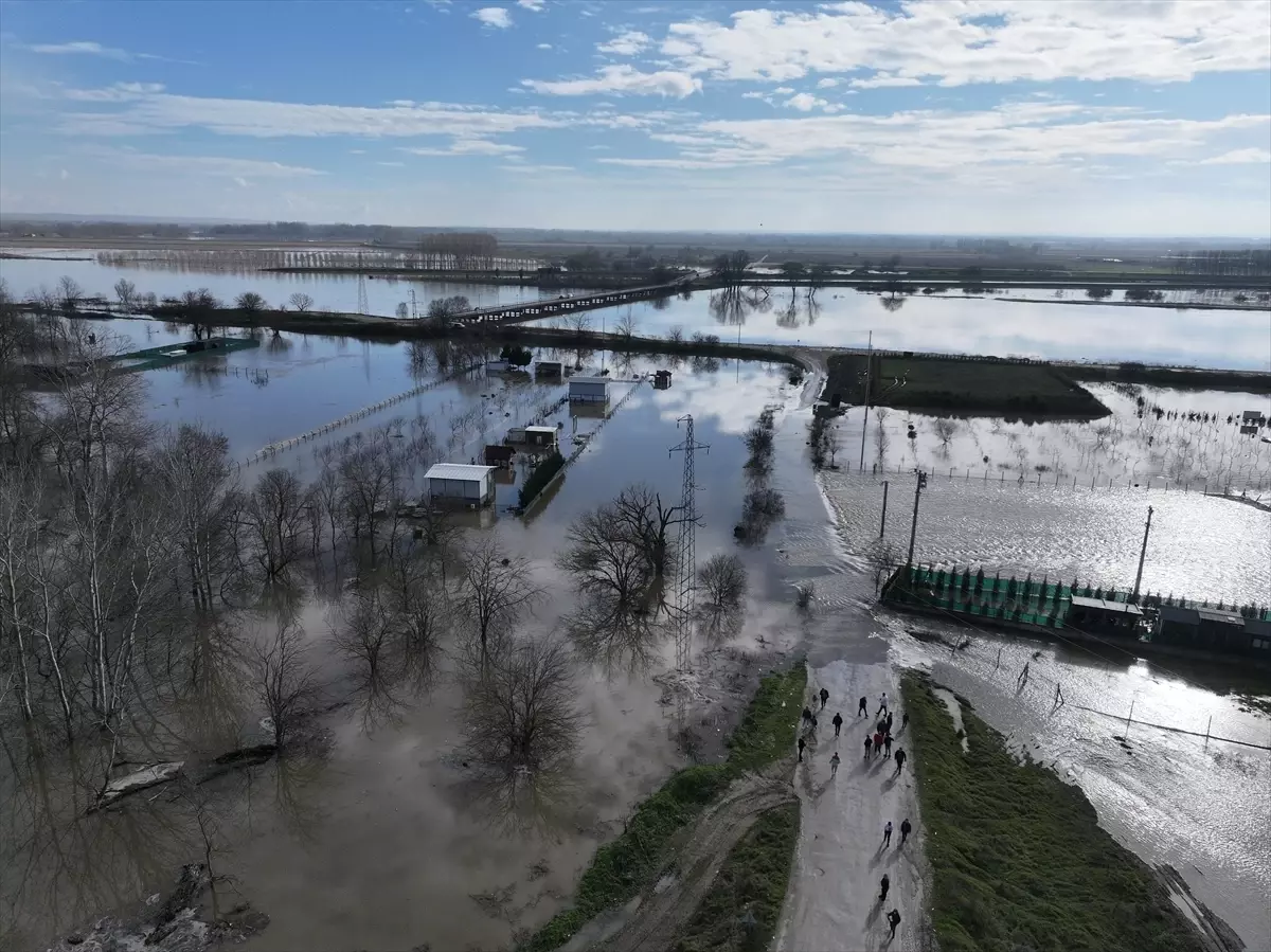 Edirne'de Meriç Nehri Sel Basması: AFAD Hayvanları Kurtardı