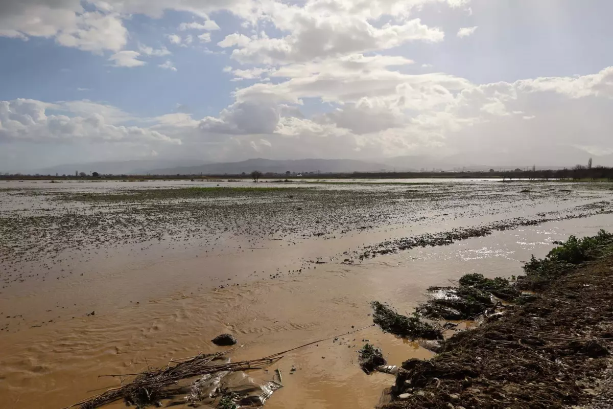 Turgutlu’da Sel Felaketi: Irlamaz Çayı Taştı