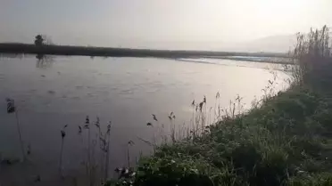 Taşkın sonrası Menderes Nehri kıyısında su birikintisi