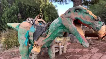 Parçalanmış kuş yuvası fotoğrafı