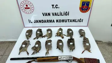 Ele geçirilen av tüfeği ve av