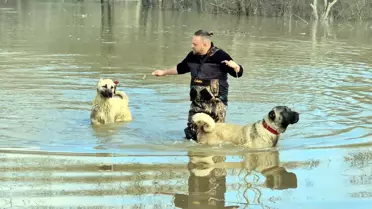 Meriç Nehri taşma anı