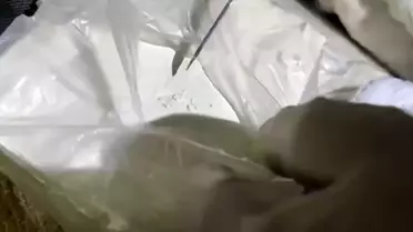 Ele geçirilen kokainin fotoğrafı