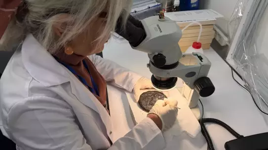 Restorasyon sonrası 1300 yıllık ekmeklerin ana fotoğrafı