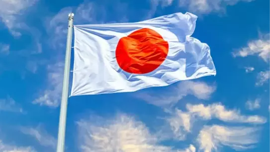 Japonya seçim sandıkları