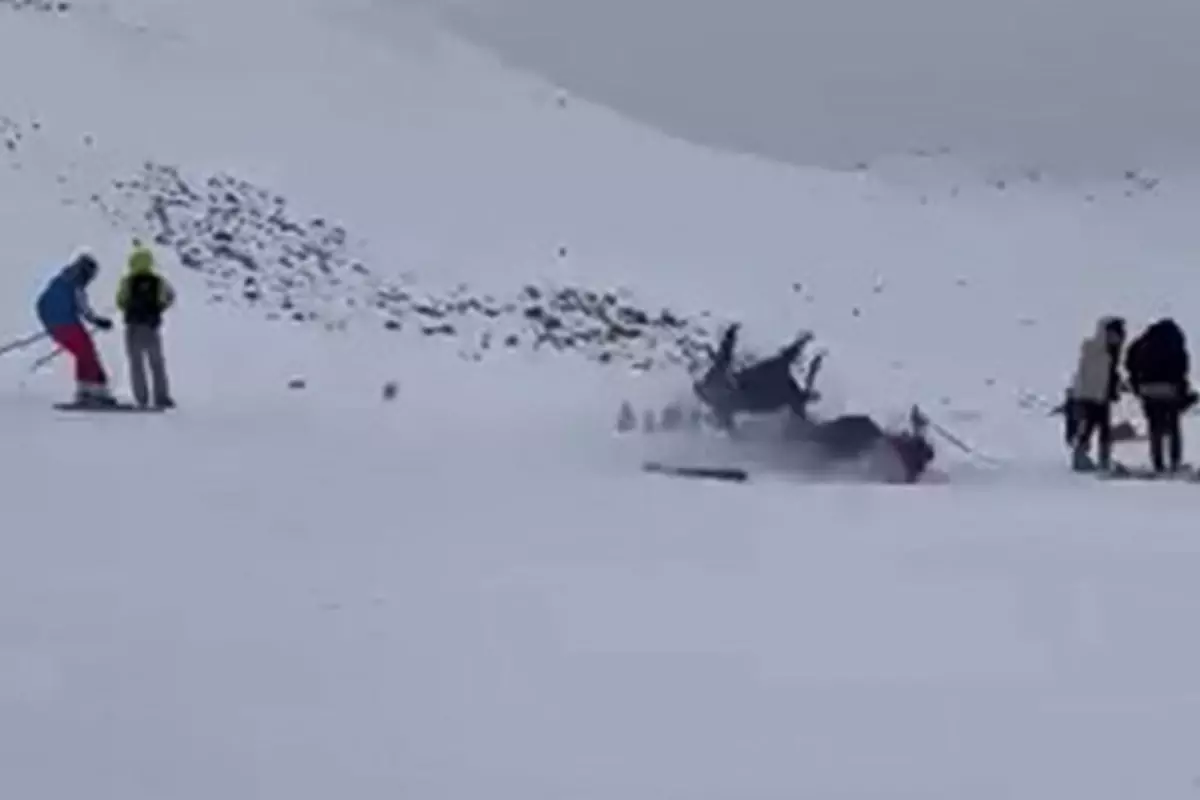 Bingöl Kayak Merkezi'nde Çığ Kaza: 6 Kişi Yaralandı