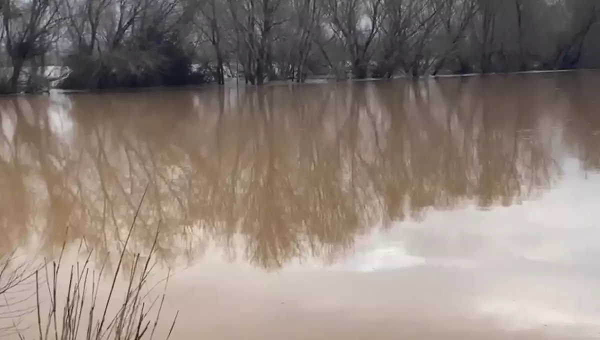 Turgutlu’da Irlamaz Çayı’nda Taşkın Sonrası DSİ’den Hızlı Müdahale