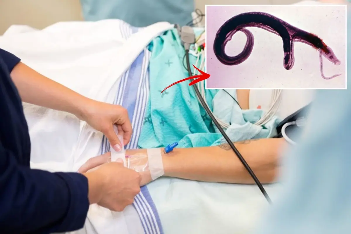 DSÖ, Cinsel Organlara Yerleşen Parazitin Evrimleştiğini ve Yeni Bölgelerde Yayılabileceğini Duyurdu