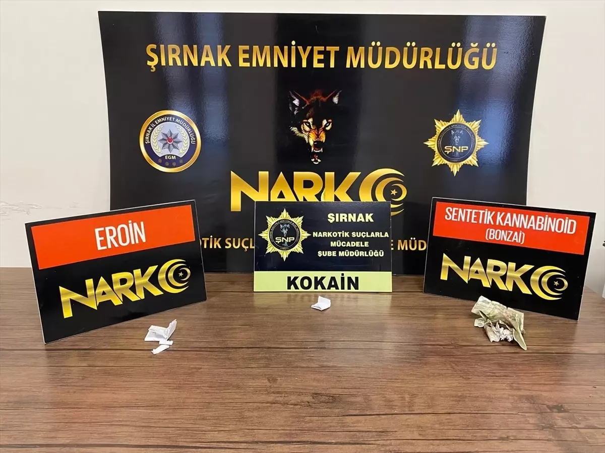 Cizre'de Güvenlik Operasyonu: Beş Şüpheli Gözaltında